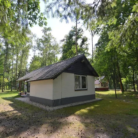 Completely Detached In A Nature Filled Park By A Large Fen Dom wakacyjny Stramproy