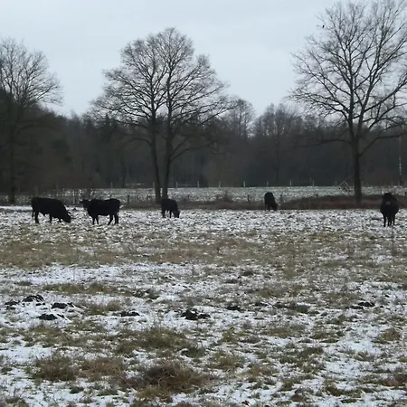 Completely Detached In A Nature Filled Park By A Large Fen Dom wakacyjny
