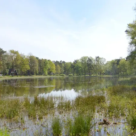Completely Detached In A Nature-filled Park By A Large Fen Stramproy