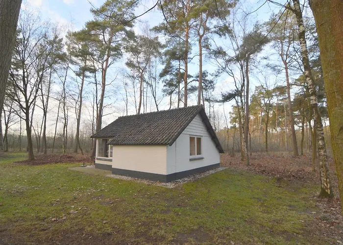 Completely Detached In A Nature-filled Park By A Large Fen Stramproy