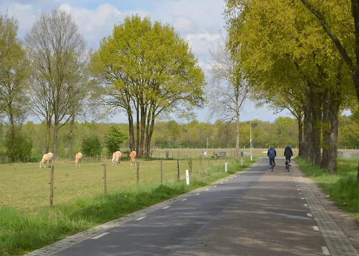 Completely Detached In A Nature-filled Park By A Large Fen 別荘