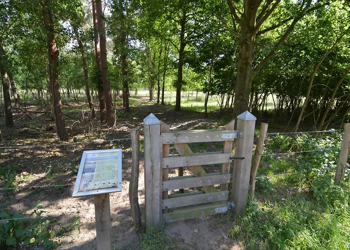 別荘 Completely Detached In A Nature-filled Park By A Large Fen Stramproy