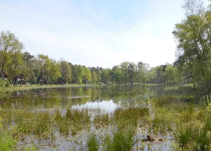 Completely Detached In A Nature-filled Park By A Large Fen Stramproy